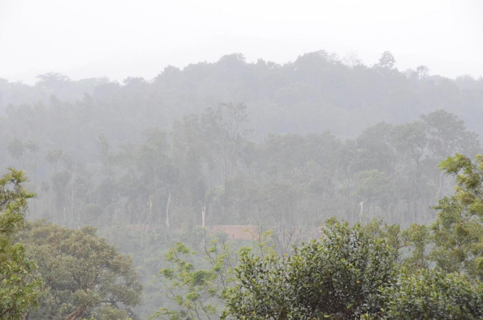 Ibbanicadu Estate Homestay Madikeri Eksteriør bilde